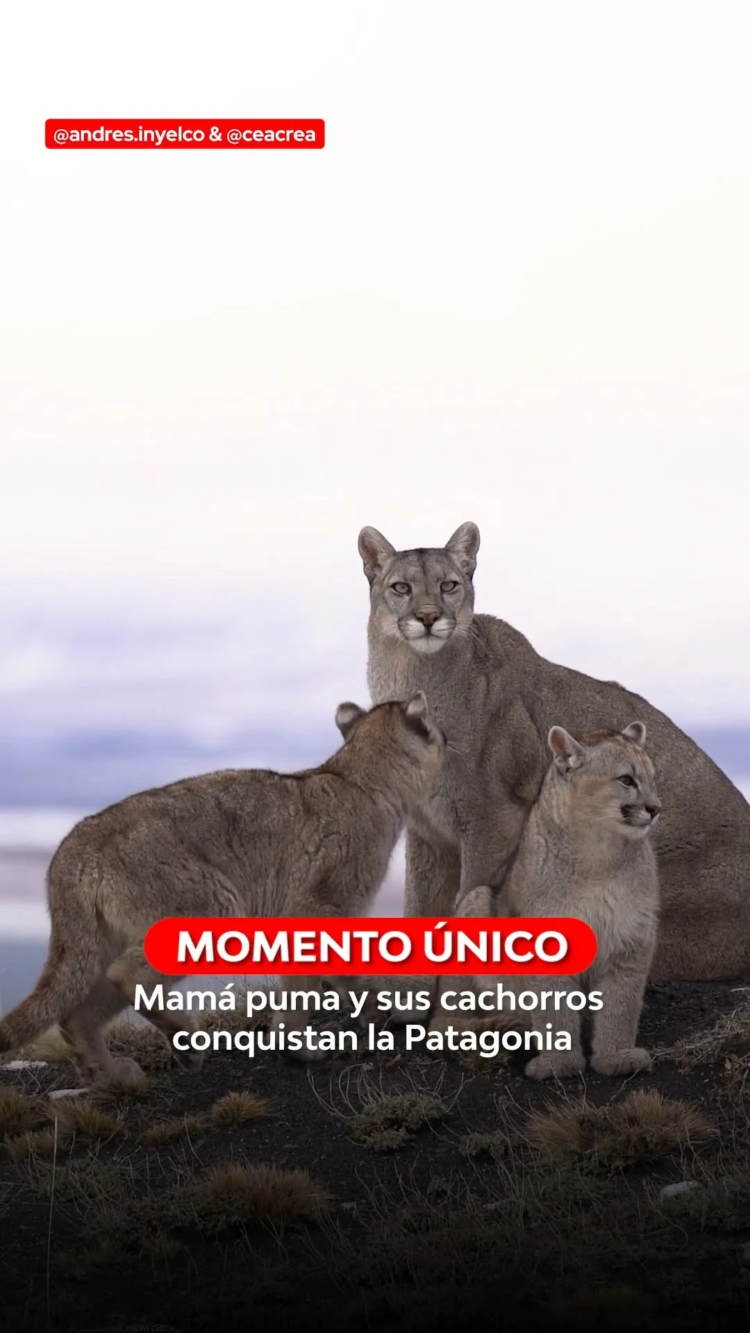 Publicación de Instagram de @24horascl