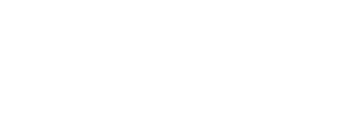 Ngen Experience